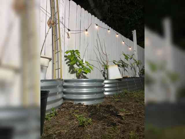 ADRIANNA_FOX tits and ass