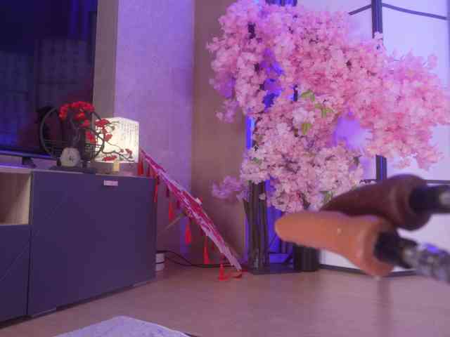 Marry-Cordy pussy play camshow