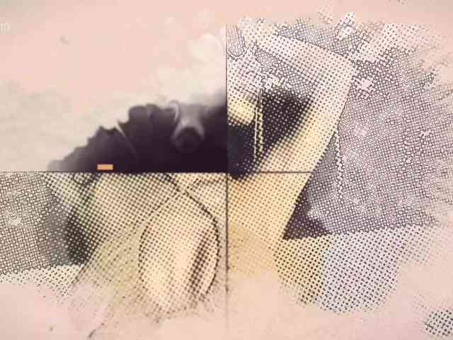 Taanni ticket camshow - 2023.08.12