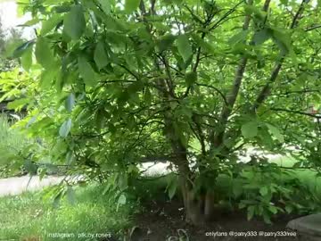 Patry333 lesbian - 02-28-2023