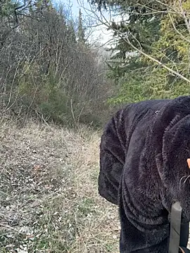 petrouchkaaa_ webcam