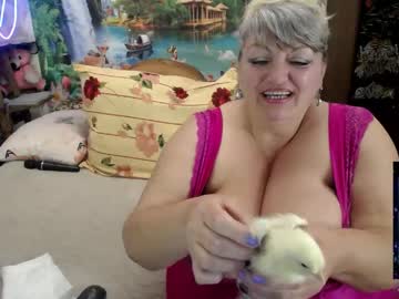 Svetifox crazyticket - 12/20/2023