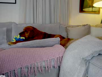 X_lily_x toy fun - 08-04-2023